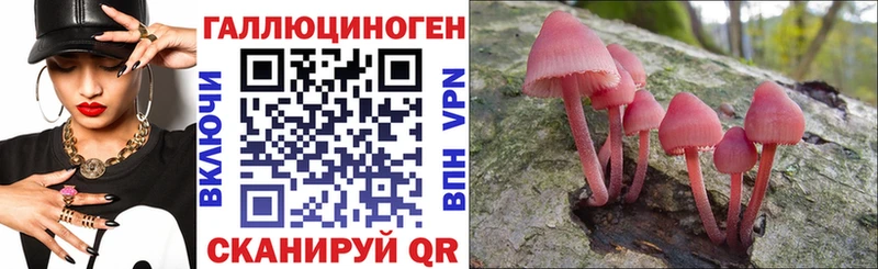 кракен рабочий сайт  Волгореченск  Псилоцибиновые грибы Magic Shrooms 